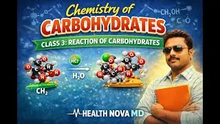 | Reactions of Carbohydrates Explained in Easy Language-Chemistry of Carbohydrates &mdash; Class 3