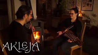 Akleja - Krokus