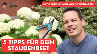 Mehr Bl&uuml;ten, Insektenfreundlich, passende Pflanzen - 5 Tipps f&uuml;r dein Staudenbeet - Bl&uuml;hten Meer