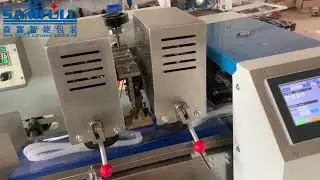Horizontal Packing Machine Pack Soft Tube 枕式机包软管 2