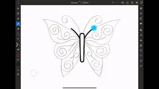 Illustrator for iPad - Mirror Repeat