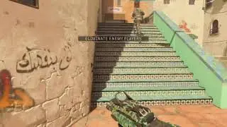 Bo4 Swordfish