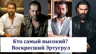 Реальный рост актеров 