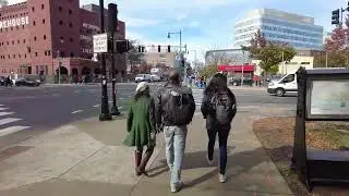 Mass Ave Fall Afternoon Walk MIT to Central Square Cambridge Massachusetts via Mass Ave.