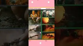Jawan Movie All Copied Scenes 🔴 #jawan #copied #scene