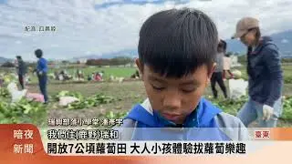 臺東關山蘿蔔季 3千名遊客湧入拔蘿蔔【客家新聞20260131】