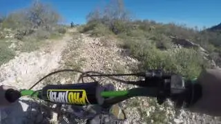 Snakes gone wild