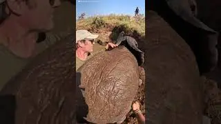 Baby Elephant And Mom Are Stuck In A Well Full Of Water | The Dodo