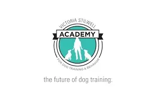 The Victoria Stilwell Academy - The Future of Dog Training
