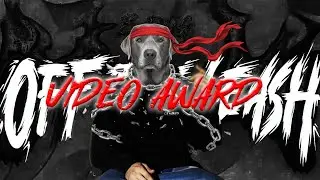 Премия B-Dog 