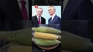 Stoltenberg'in Erdoğan Anıları! #shorts