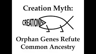 Creation Myth: Orphan Genes Refute Common Ancestry