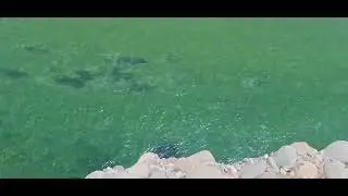 Dez River