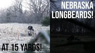 CLOSING THE DISTANCE ON NEBRASKA LONGBEARDS! (2 HUNTS!) NEBRASKA ARCHERY TURKEY HUNTING!