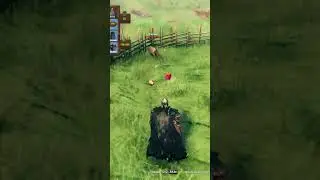 HOW TO TAME A BOAR IN #valheim #guide #valheim #buldozer