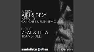 Area 13