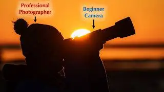 Why I Use a Beginner Camera as a Professional Wildlife Photographer