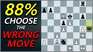 Сможете ли вы решить 3 позиции? - Шахматная викторина № 13