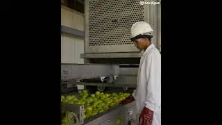 San Miguel Our industrial processing plant in South Africa