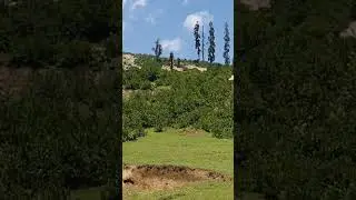 Gabin jaba swat