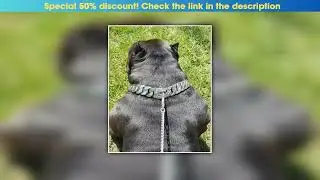 Hands-on Metal Stainless Steel Dog Collar Pet Steel Chain Bully Dogs Large Dog Collar Doberman Adju