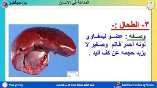 الأحياء للصف الثالث الثانوي المناعة في الإنسان  2025 2026