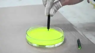 Demonstration of Ink flowing up a fountain pen feed through capillary action