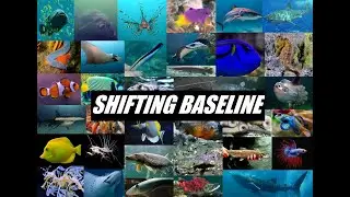 Shifting baseline