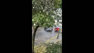 Storm Amy Downs Tree in Dublin