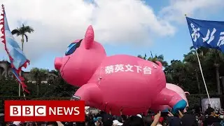 Taiwan protesters march against US pork imports - BBC News