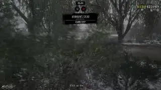 Red dead posse online Life