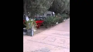 Kamp Stavros