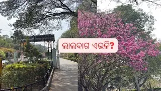 Lalbagh Botanical Garden &ndash; Flowers, Silence & a Slow Journey 🌸 |  ଧୀରେ ଚାଲିବାର ଗୋଟିଏ ଯାତ୍ରା