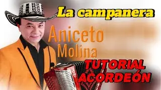 La campanera (Aniceto Molina) en acordeón BESAS (cinco letras)