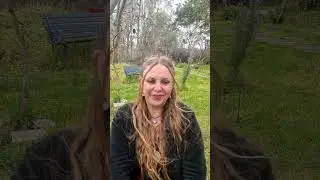 Short Meditation- The Wind