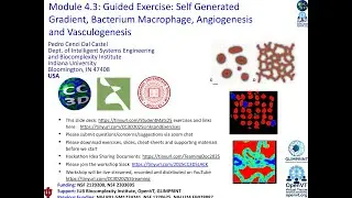 CompuCell3D WS 2025: 4.3: Chemotaxis Modeling Examples [Pedro dal Castel] July 31, 2025