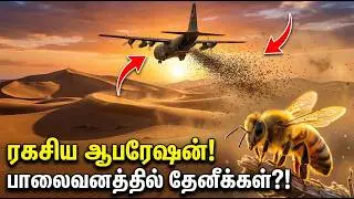சஹாரா பாலைவனத்தில் தேனீக்களா? நம்ப முடியாத உண்மை!🌵 | Sahara Desert Mystery #manninkural #kalaidevan