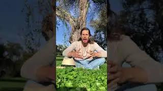 The Transformation - Spoken Word