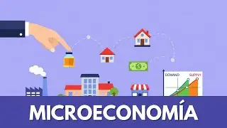 &iquest;Qu&eacute; es la Microeconom&iacute;a? (Explicaci&oacute;n F&aacute;cil)