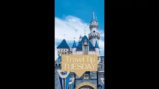 How to get into Disney without a Park Reservation  or Theme Park Ticket