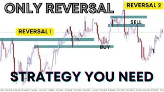 Spot Trend Reversals early signals Video