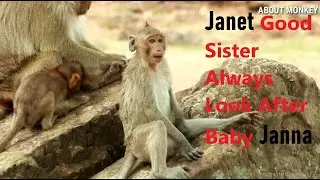 Janna Feel Happy Playing With Little Monkeys, Janna Looking So Healthy but Not Good For One Leg !!