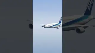 Emergency Landing Gone Wrong