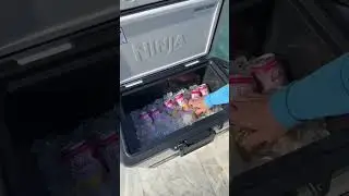 Ninja FrostVault 50qt Hard Cooler