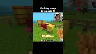 Minecraft Baby Sheep Moment
