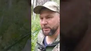 Гигантский бобр рвет тросы