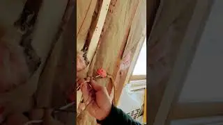 Temp Lights #mylife #construction #diy #iykyk #light #lighting ng