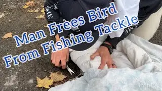 Ohio Man Frees Bird Stuck In Fishing Line Using Tortilla Chip “How To Free Birds From Fishing Line”