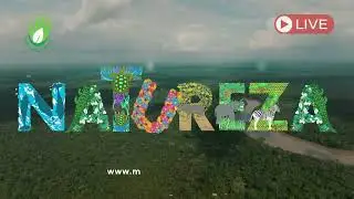 AEIOU.reconexao com a natureza