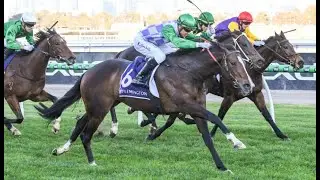 SPLASH IS BACK! Flemington, Murray Bridge, Eagle Farm - Horse Racing Tips (2/8/25)